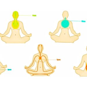 VAYU, CELE 5 SUFLURI VITALE