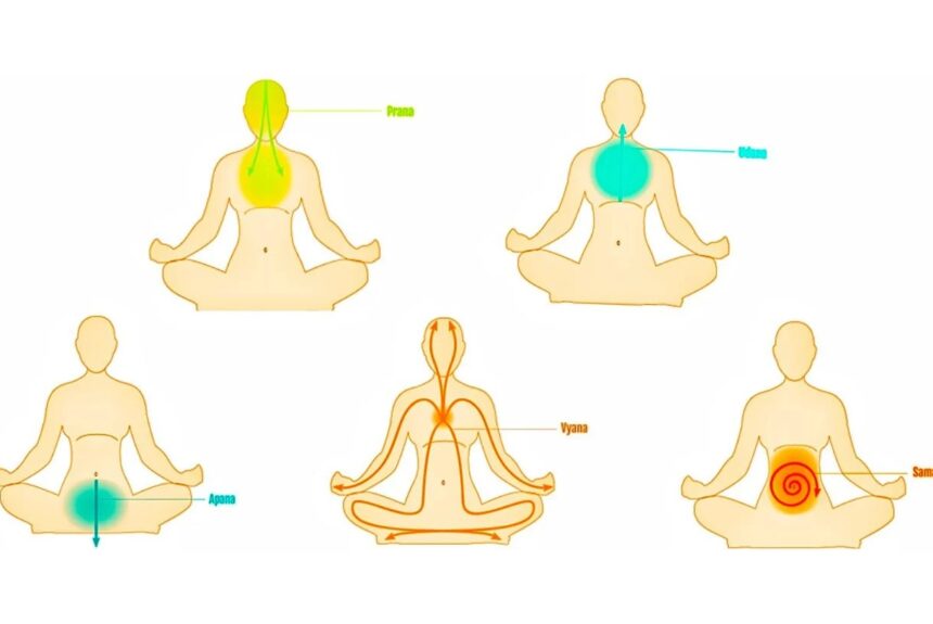 VAYU, CELE 5 SUFLURI VITALE