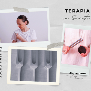 READUCEREA ARMONIEI ȊN CORP PRIN SUNET