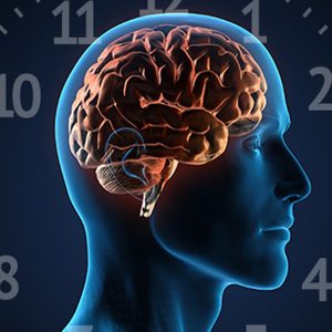 YOGA ȘI RITMUL CIRCADIAN