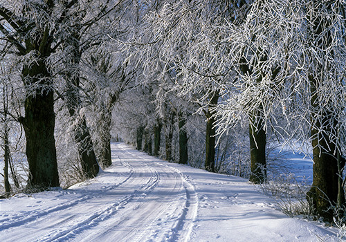 SOLSTIȚIUL DE IARNĂ, MOMENT DE INTERIORIZARE ȘI LINIȘTE ȊN NATURĂ DAR ȘI ȊN PRACTICA YOGA