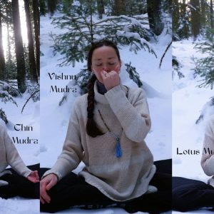 CHIN, VISHNU ȘI LOTUS MUDRA