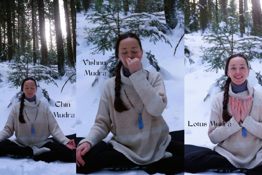 CHIN, VISHNU ȘI LOTUS MUDRA