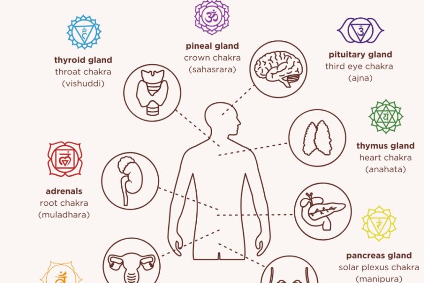 YOGA STIMULEAZĂ ECHILIBRAREA SISTEMULUI ENDOCRIN