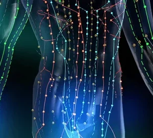 MERIDIANELE ȘI MEDICINA TRADIȚIONALĂ CHINEZĂ