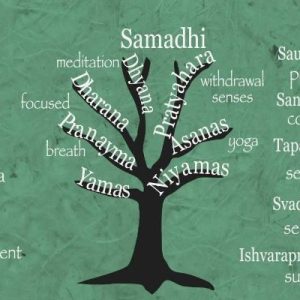 CUNOAȘTEREA CELOR 8 PAȘI CARE CARACTERIZEAZĂ CALEA YOGA