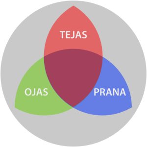 PRANA TEJAS ȘI OJAS