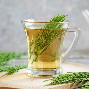 COADA CALULUI PLANTA MINUNE